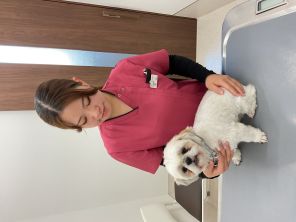 愛玩動物看護師　若山 莉舞