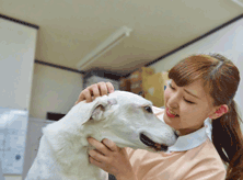 愛玩動物看護師　平野 桃々