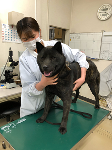 愛玩動物看護師　浦野　奈摘