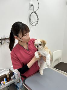 愛玩動物看護師　福田 凜